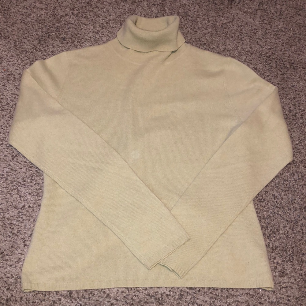 Evie Cashmere Celery Green Turtleneck